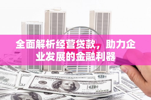 麒麟全面解析经营贷款，助力企业发展的金融利器