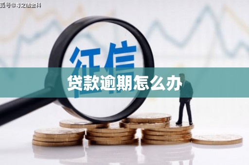麒麟贷款逾期怎么办