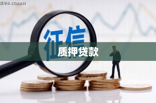 麒麟质押贷款