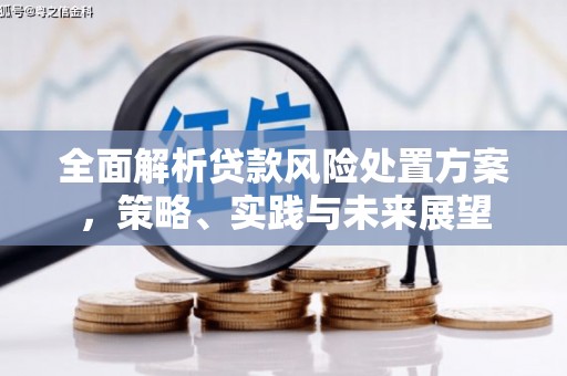麒麟全面解析贷款风险处置方案，策略、实践与未来展望