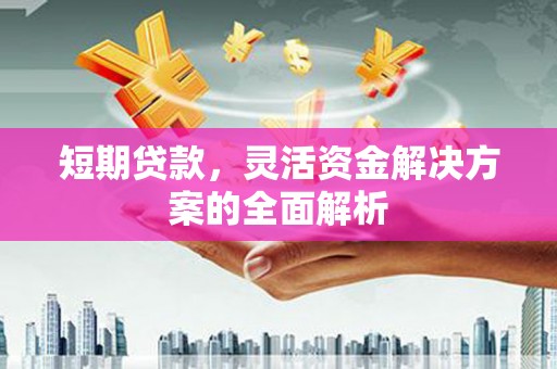 麒麟短期贷款，灵活资金解决方案的全面解析