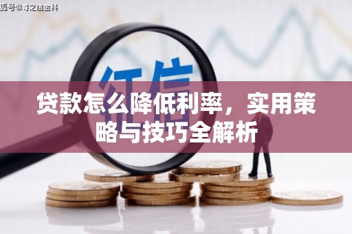 麒麟贷款怎么降低利率，实用策略与技巧全解析