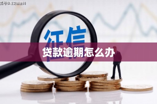 麒麟贷款逾期怎么办