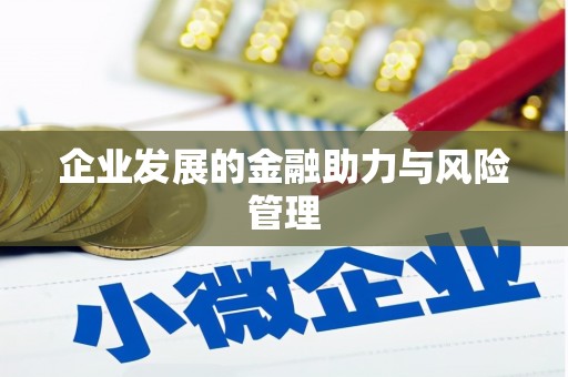 麒麟企业发展的金融助力与风险管理