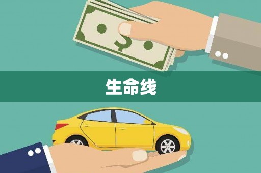 麒麟生命线
