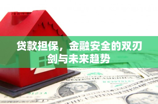 麒麟贷款担保，金融安全的双刃剑与未来趋势