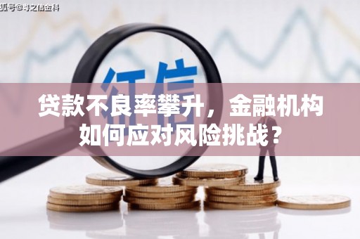 麒麟贷款不良率攀升，金融机构如何应对风险挑战？