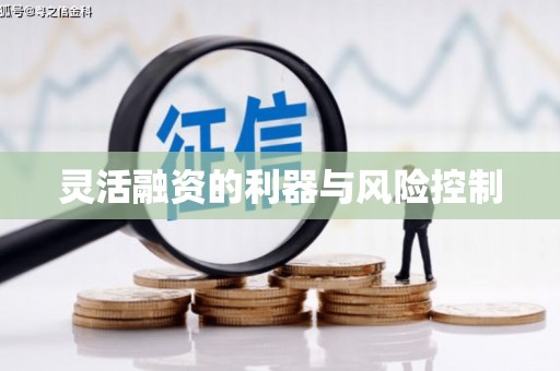 麒麟灵活融资的利器与风险控制
