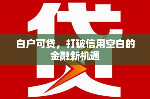 麒麟白户可贷，打破信用空白的金融新机遇