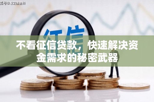 麒麟不看征信贷款，快速解决资金需求的秘密武器
