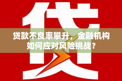 麒麟贷款不良率攀升，金融机构如何应对风险挑战？