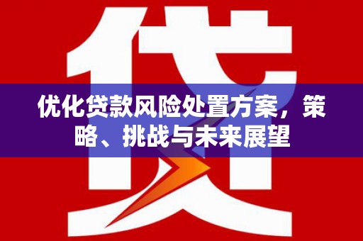 麒麟优化贷款风险处置方案，策略、挑战与未来展望