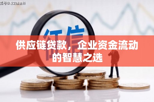 麒麟供应链贷款，企业资金流动的智慧之选