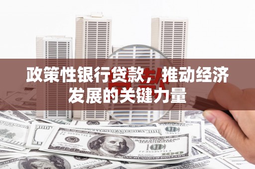 麒麟政策性银行贷款，推动经济发展的关键力量