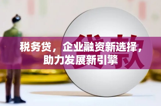 麒麟税务贷，企业融资新选择，助力发展新引擎