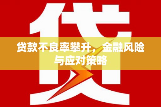 麒麟贷款不良率攀升，金融风险与应对策略