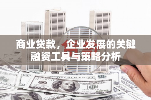麒麟商业贷款，企业发展的关键融资工具与策略分析
