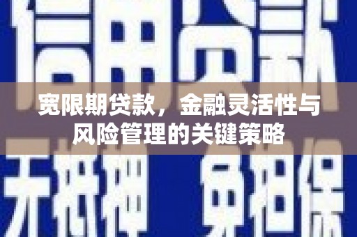 麒麟宽限期贷款，金融灵活性与风险管理的关键策略