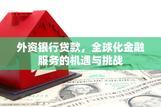 麒麟外资银行贷款，全球化金融服务的机遇与挑战