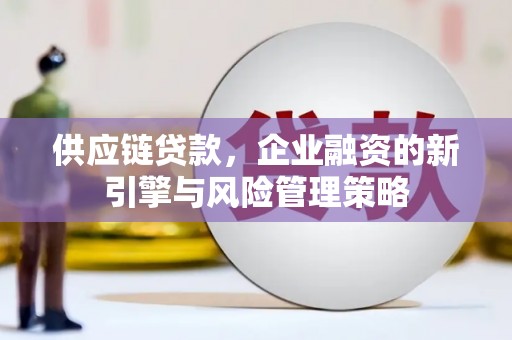 麒麟供应链贷款，企业融资的新引擎与风险管理策略