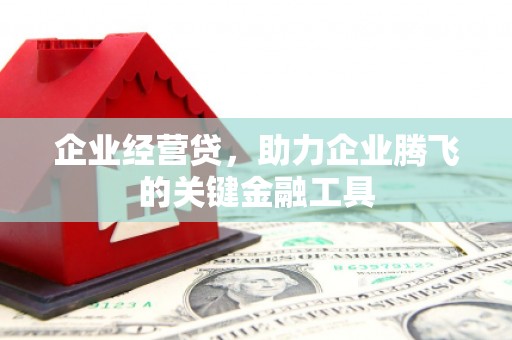 麒麟企业经营贷，助力企业腾飞的关键金融工具