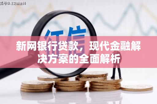 麒麟新网银行贷款，现代金融解决方案的全面解析