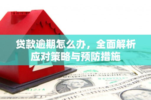 麒麟贷款逾期怎么办，全面解析应对策略与预防措施