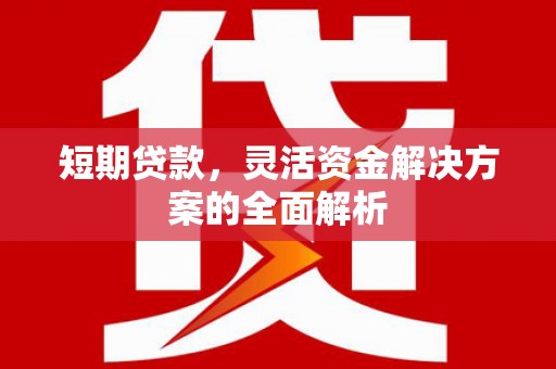麒麟短期贷款，灵活资金解决方案的全面解析