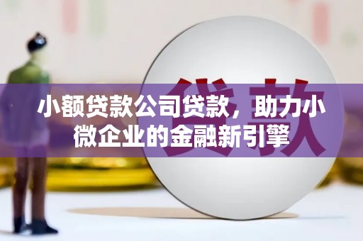 麒麟小额贷款公司贷款，助力小微企业的金融新引擎