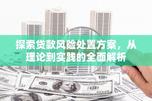 麒麟探索贷款风险处置方案，从理论到实践的全面解析