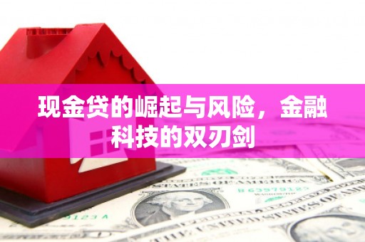 麒麟现金贷的崛起与风险，金融科技的双刃剑