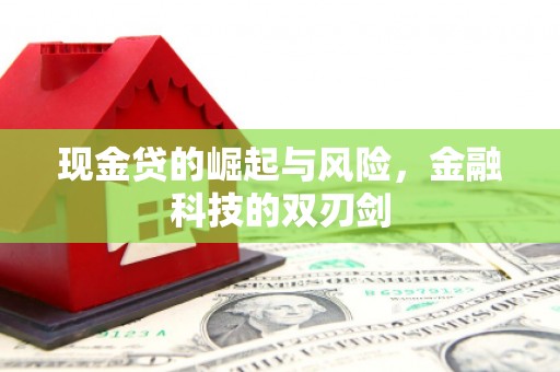 麒麟现金贷的崛起与风险，金融科技的双刃剑