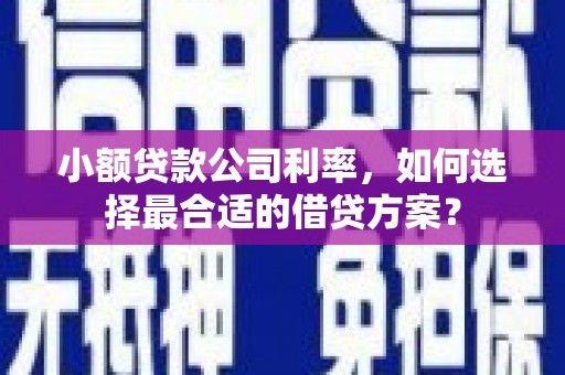麒麟小额贷款公司利率，如何选择最合适的借贷方案？