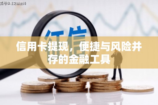 麒麟信用卡提现，便捷与风险并存的金融工具