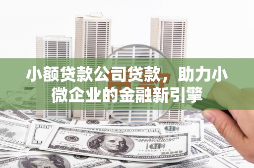 麒麟小额贷款公司贷款，助力小微企业的金融新引擎