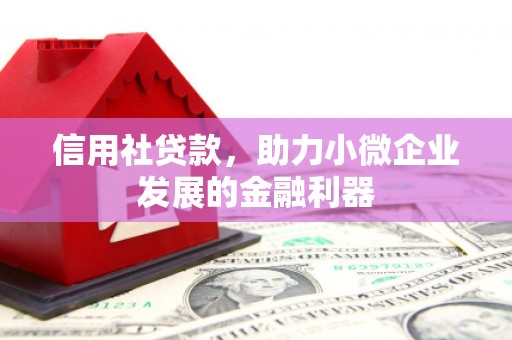 麒麟信用社贷款，助力小微企业发展的金融利器
