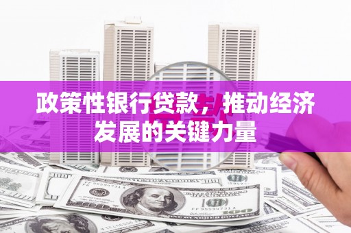 麒麟政策性银行贷款，推动经济发展的关键力量