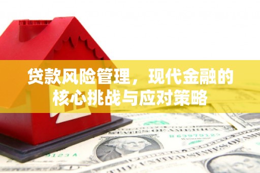 麒麟贷款风险管理，现代金融的核心挑战与应对策略