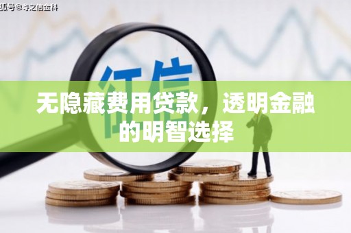 麒麟无隐藏费用贷款，透明金融的明智选择