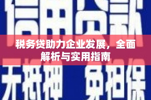 麒麟税务贷助力企业发展，全面解析与实用指南