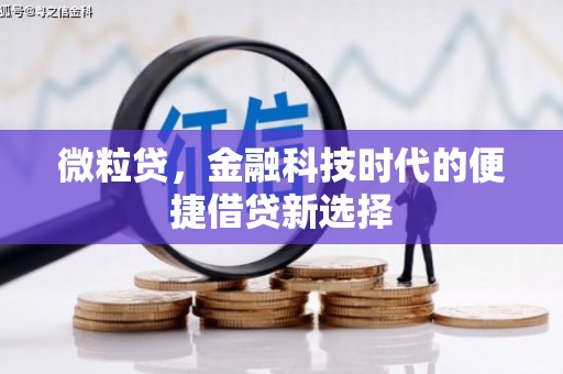 麒麟微粒贷，金融科技时代的便捷借贷新选择
