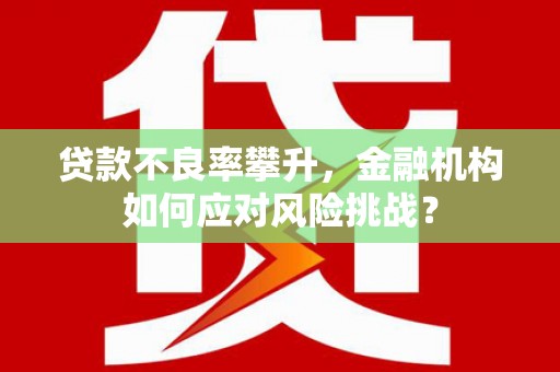 麒麟贷款不良率攀升，金融机构如何应对风险挑战？