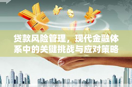 麒麟贷款风险管理，现代金融体系中的关键挑战与应对策略