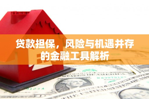 麒麟贷款担保，风险与机遇并存的金融工具解析