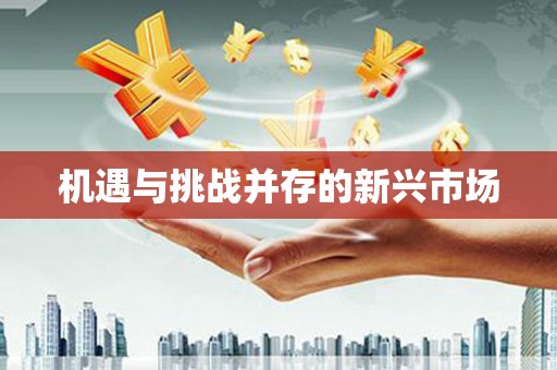 麒麟机遇与挑战并存的新兴市场
